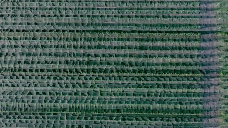 20251224 tape and mono.png